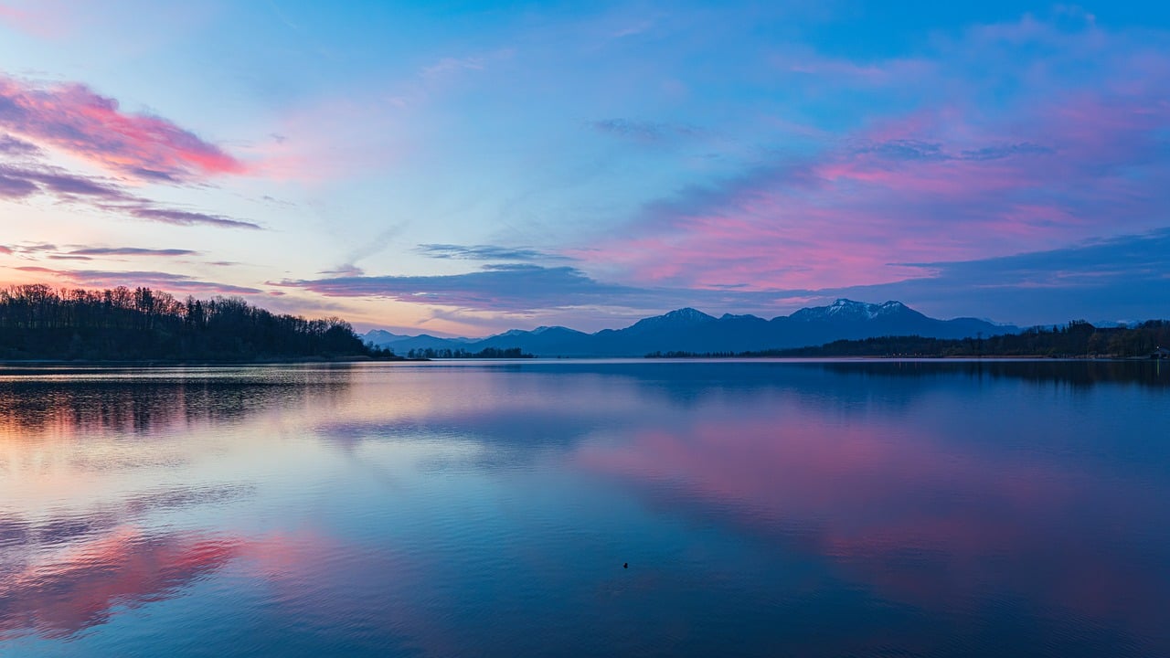https://pixabay.com/users/1425977